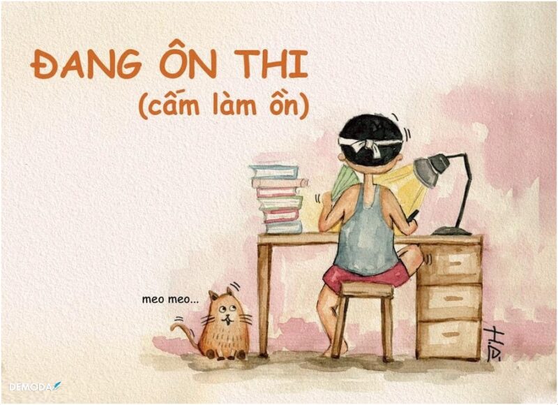 ảnh ôn thi