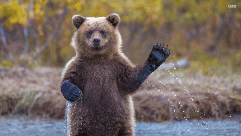 backgruond động chào mừng đến với bài thuyết trình đẹp nhất