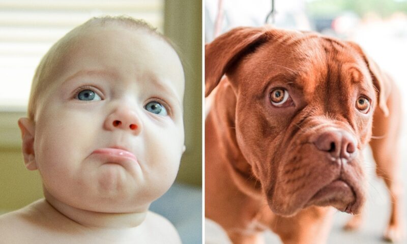 Tổng hợp Hình ảnh khinh bỉ bĩu môi