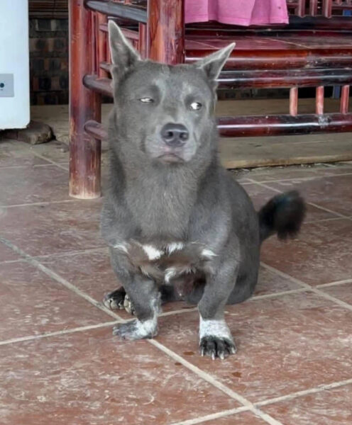 Tổng hợp Hình ảnh khinh bỉ không thèm nhìn