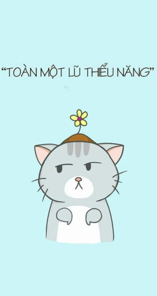 ảnh nền điện thoại hài hước chú mèo chửi người