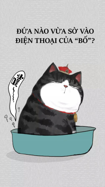 ảnh nền điện thoại hài hước chú mèo đen quá ngầu
