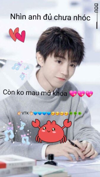 ảnh nền điện thoại hài hước vui nhộn