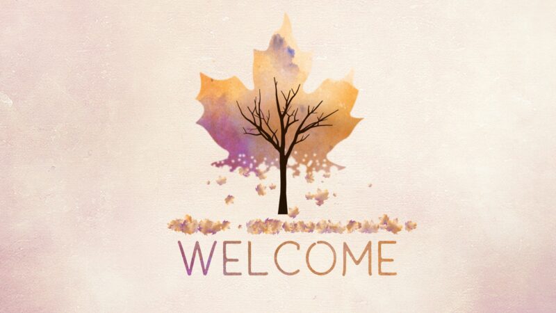 Bộ ảnh nền Powerpoint chất slide mở đầu hình chiếc lá đơn giản nhất