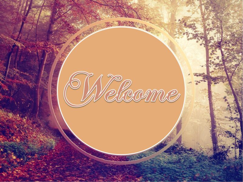 Bộ ảnh nền Powerpoint chất slide mở đầu khu rừng lá đỏ mùa thu