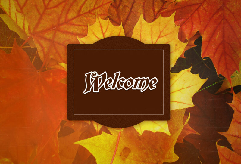 Bộ ảnh nền Powerpoint chất slide mở đầu lá đỏ mùa thu