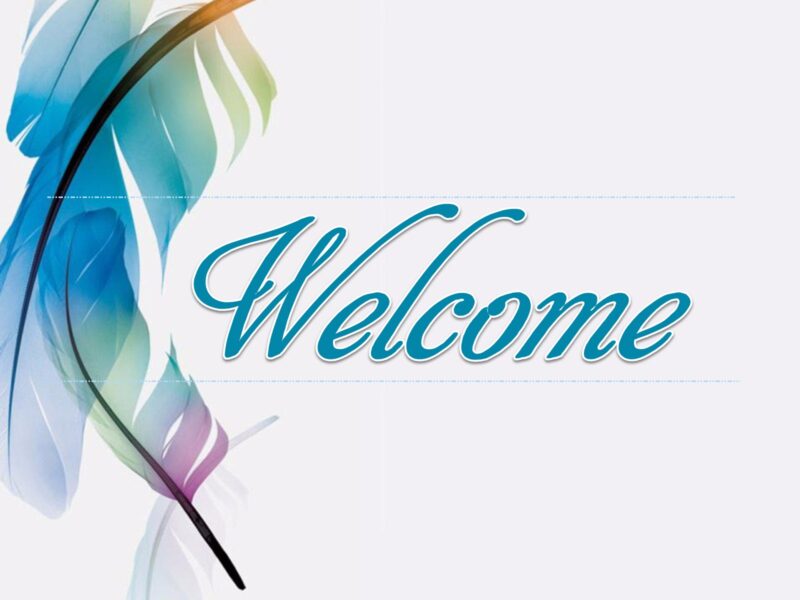 Bộ ảnh nền Powerpoint chất slide mở đầu lông vũ màu sáng