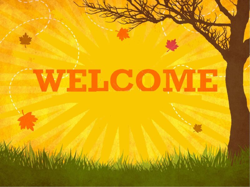 Bộ ảnh nền Powerpoint chất slide mở đầu thiên nhiên cây cỏ đơn giản