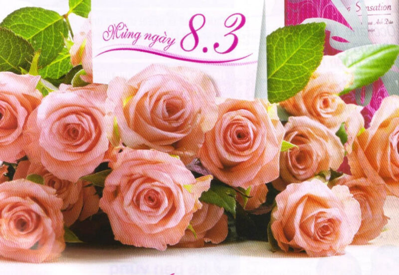 Ảnh 8 3 đẹp chữ trên bó hoa hồng đẹp