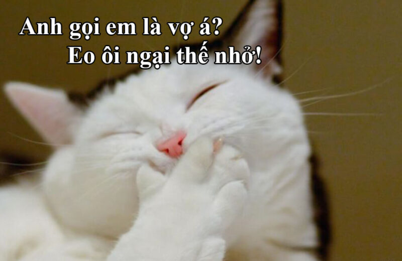 ảnh chế thả thính cực hài