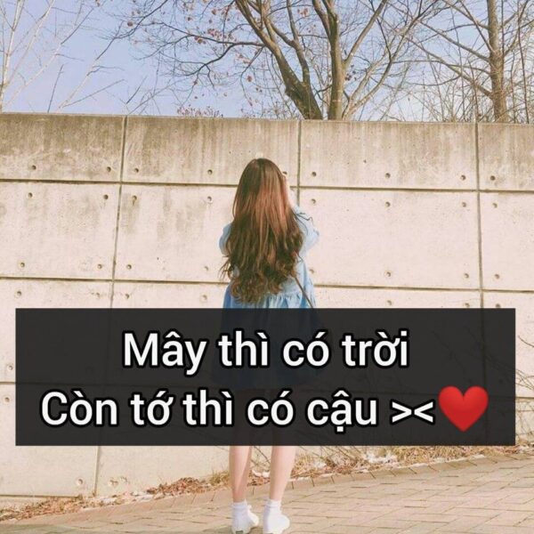 ảnh chế thả thính độc lạ