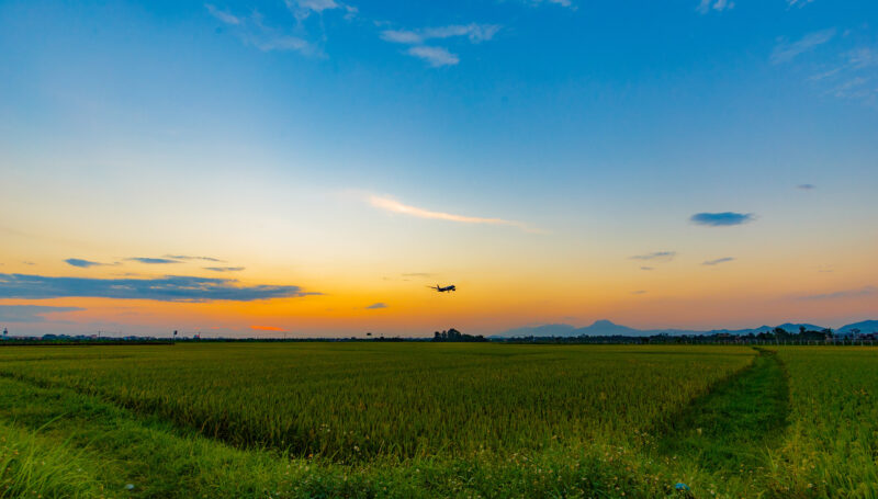 Ảnh quê hương cánh đồng buổi xế chiều