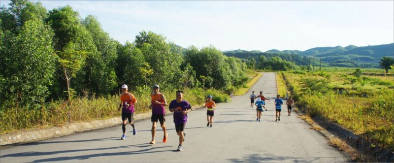 Ảnh quê hương chạy trên đường quê