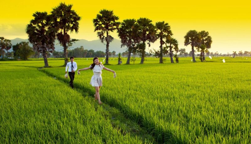 Ảnh quê hương đôi tình nhân và cánh đồng