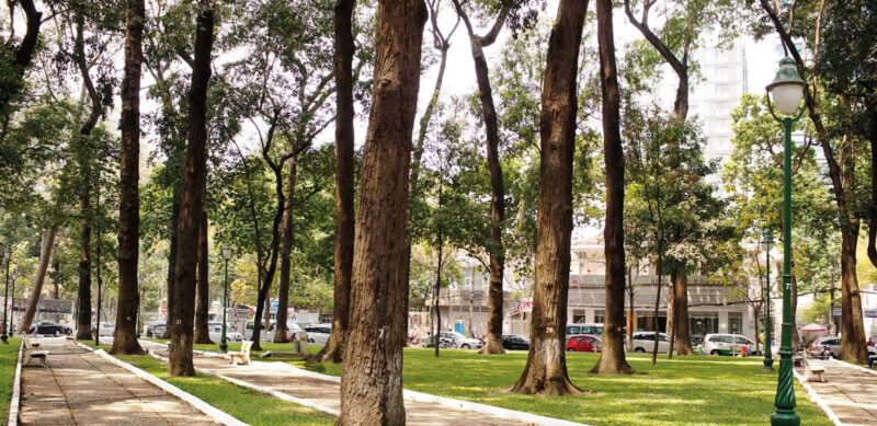 Ảnh Sài Gòn - công viên 30-4