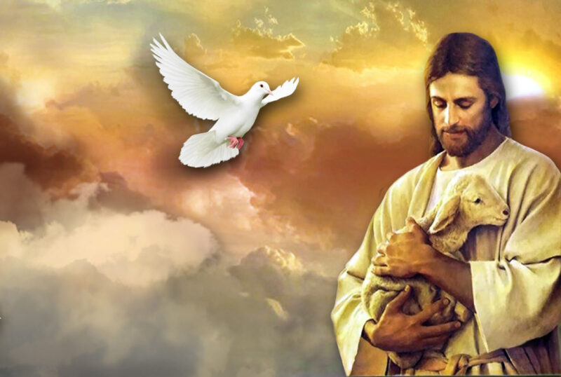 Ảnh thiên chúa và động vật