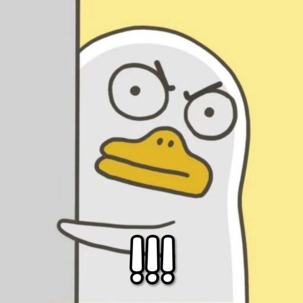 ảnh avatar hài hước cute