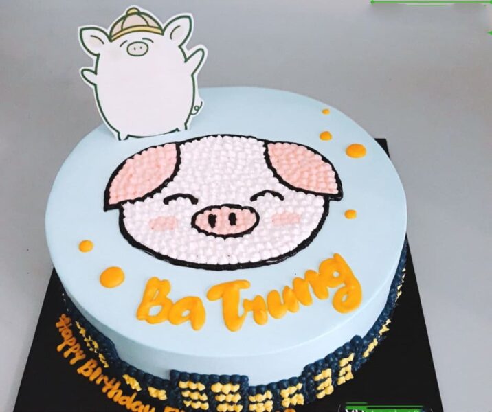 bánh sinh nhật con heo (lợn) cho người tuổi Hợi cute tuyệt vời nhất trái đất