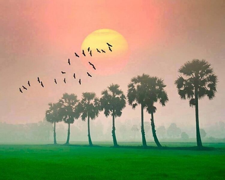 Những hình ảnh quê hương Việt Nam