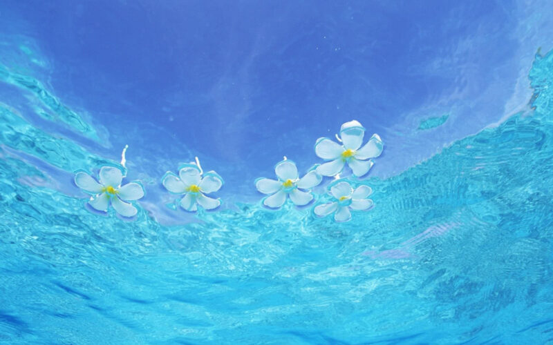 Tải xuống Hình nền cute màu xanh dương tuyệt vời nhất