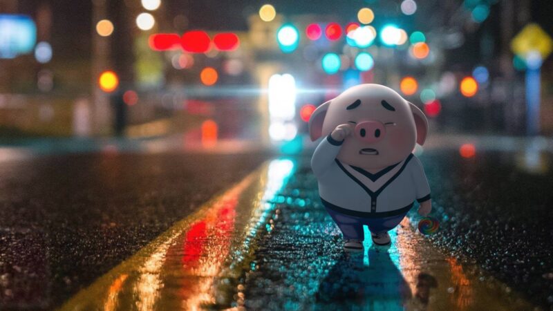 Tải Tải xuống Hình nền Zalo miễn phí buồn con heo khóc