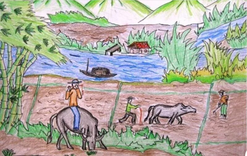 Mẫu  Vẽ tranh cuộc sống sinh hoạt cày bừa ruộng